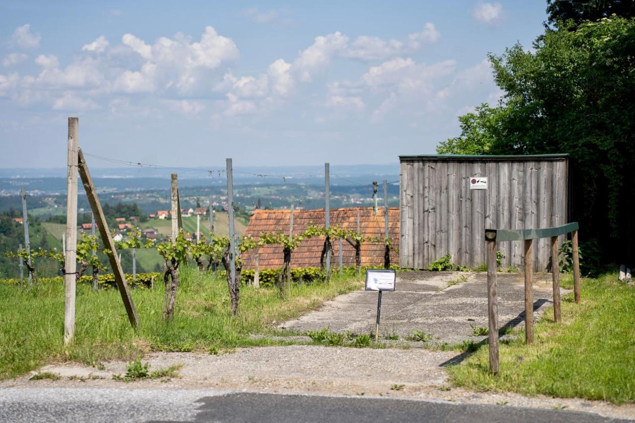 Schilcherland Lodge Greisdorf Zewnętrze zdjęcie
