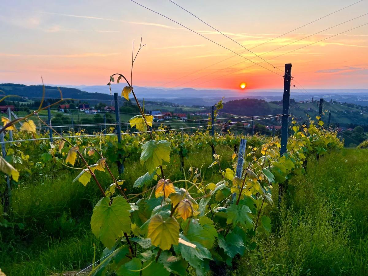 Schilcherland Lodge Greisdorf Zewnętrze zdjęcie