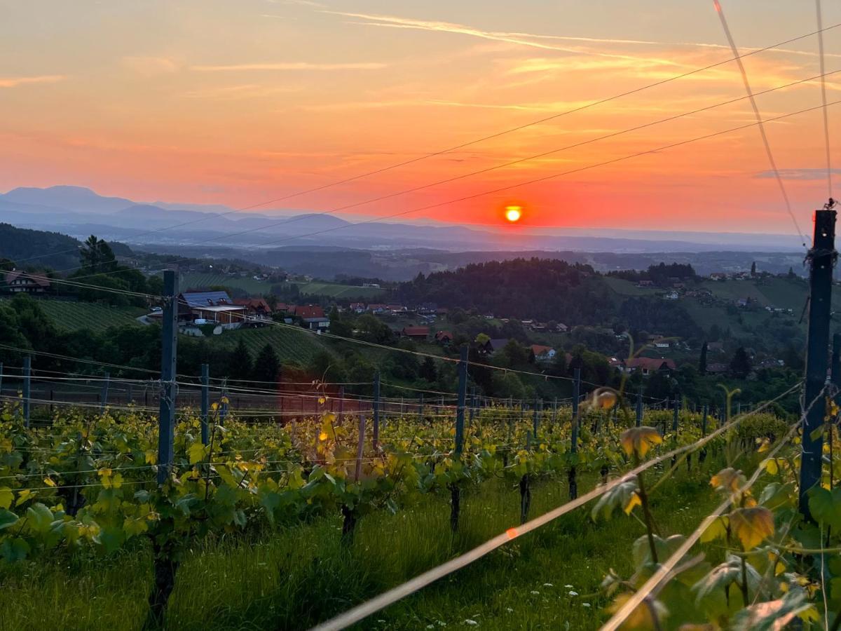 Schilcherland Lodge Greisdorf Zewnętrze zdjęcie
